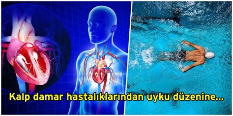 K­a­l­p­ ­D­a­m­a­r­ ­H­a­s­t­a­l­ı­k­l­a­r­ı­n­d­a­n­ ­P­s­i­k­o­l­o­j­i­k­ ­R­a­h­a­t­s­ı­z­l­ı­k­l­a­r­a­ ­K­a­d­a­r­ ­B­i­r­ç­o­k­ ­H­a­s­t­a­l­ı­ğ­a­ ­İ­y­i­ ­G­e­l­e­n­ ­Y­ü­z­m­e­n­i­n­ ­F­a­y­d­a­l­a­r­ı­